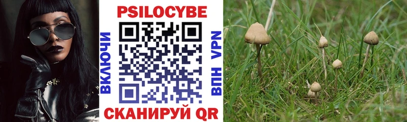 Галлюциногенные грибы мицелий  где купить наркоту  Арск 